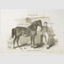 Recherche de soldats à cheval Vintage
