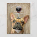 Recherche de vin drôle cartes postales Chiens et vin