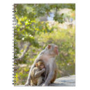 Recherche de singe de bébé carnets Faune