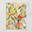 Recherche de parrot cartes postales Animaux