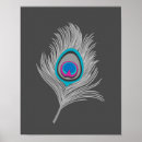 Recherche de plume de paon posters Turquoise