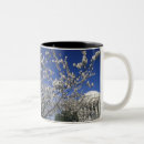 Recherche de dc de washington tasses Monument