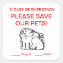 Recherche de feu chat autocollants Animaux domestiques