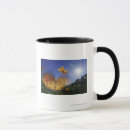 Recherche de papillon blanc tasses Faune