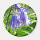 Recherche de jacinthe magnets Vert
