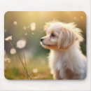 Recherche de cavaliers tapis souris Dog