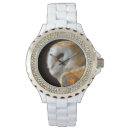 Recherche de owl montres Nature