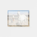 Recherche de chevaux sauvages posters Broussailles