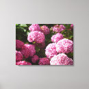 Recherche de hortensias toiles Fleurs