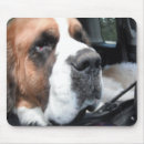 Recherche de st bernard tapis souris Saint