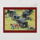 Recherche de lot cartes postales Nature