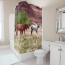 Recherche de canyon de chelly Chevaux