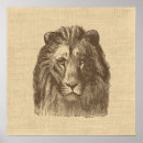Recherche de lion sauvage posters Zoo