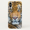 Recherche de rayures de tigre iphone coques Safari