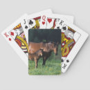 Recherche de pur sang jeux de cartes Herbe