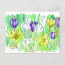 Recherche de fleurs de crocus cartes postales Pour tous