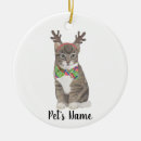 Recherche de chat gris ornements Tabby
