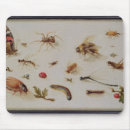 Recherche de sauterelles tapis souris Papillon