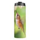 Recherche de colibri vert tasses Orange