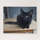 Recherche de black cat puzzles Pet