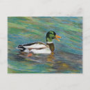 Recherche de crayon couleur cartes postales Dessin