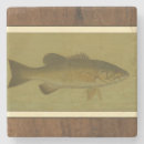 Recherche de cadre dessous de verres Frontière