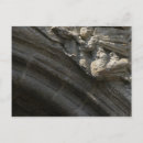 Recherche de santiago de compostela posters Religion