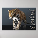 Recherche de jaguar posters Sports