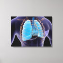 Recherche de appareil respiratoire posters Transparent