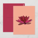 Recherche de nénuphars roses cartes postales Pour elle
