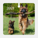 Recherche de animal lover ornements Pet