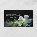Recherche de fleurs de plumeria cartes visite Affaires