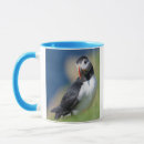 Recherche de macareux atlantique tasses Falaise