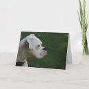 Recherche de boxeur blanc vœux cartes Salutation