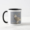 Recherche de hibou neigeux tasses Faune