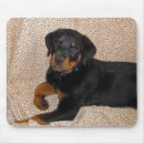 Recherche de rottweiler tapis souris Pourtie