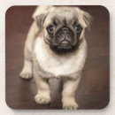 Recherche de carlins mignons dessous de verres Chiot