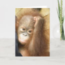 Recherche de orangs outans mignons vœux cartes Singe