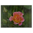 Recherche de rose de rose planches à découper Pêche