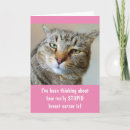 Recherche de humour chat bon rétablissement cartes Soutien