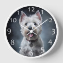 Recherche de terriers horloges Westie