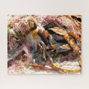 Recherche de algues puzzles Plage