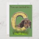 Recherche de siamois invitations Animaux