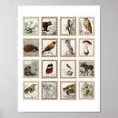 Recherche de journaux posters Pour elle