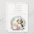 Recherche de chiot beagle invitations Mignon