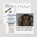Recherche de pattes invitations Pour animaux