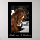 Recherche de de dressage art Chevaux