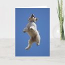 Recherche de jumping vœux cartes Animal