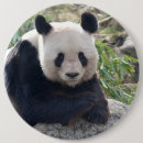Recherche de animal chinois badges Porcelaine