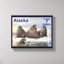 Recherche de morse animal art Arctique